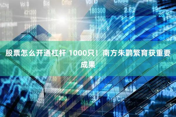 股票怎么开通杠杆 1000只！南方朱鹮繁育获重要成果